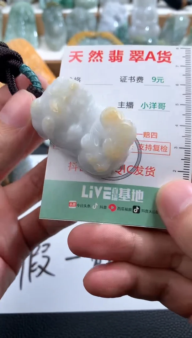 翡翠未镶嵌吊坠(不含链)1