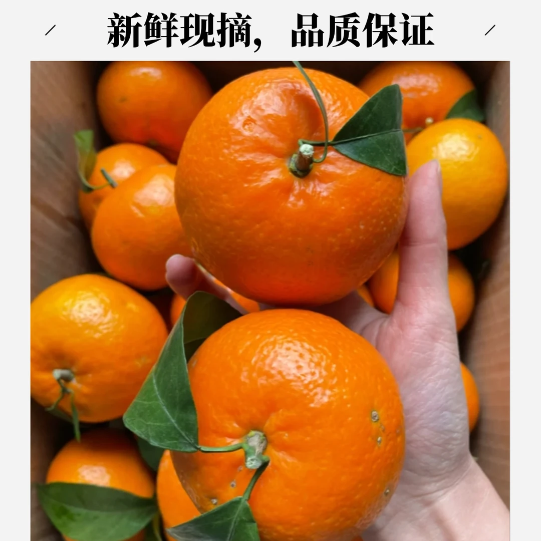 广西甜蜜多汁【沃柑】一斤