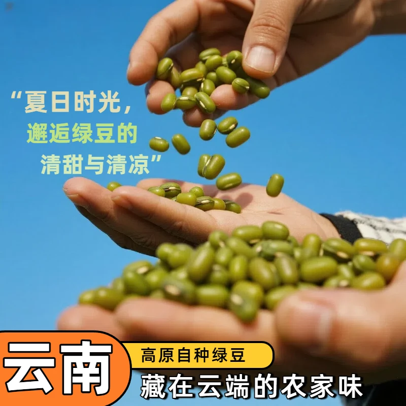 绿豆2025年新货配大豆黄豆绿芯黑豆红豆打豆浆发豆芽煮粥煲汤专用