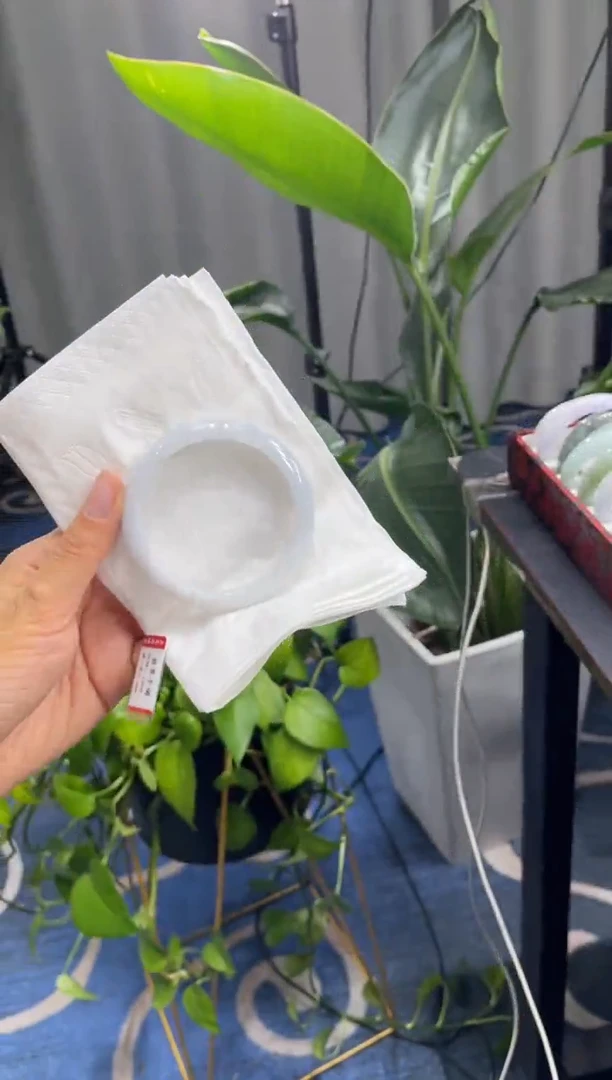 未镶嵌手镯翡翠6046