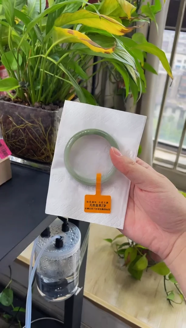 翡翠手镯未镶嵌51圈口02