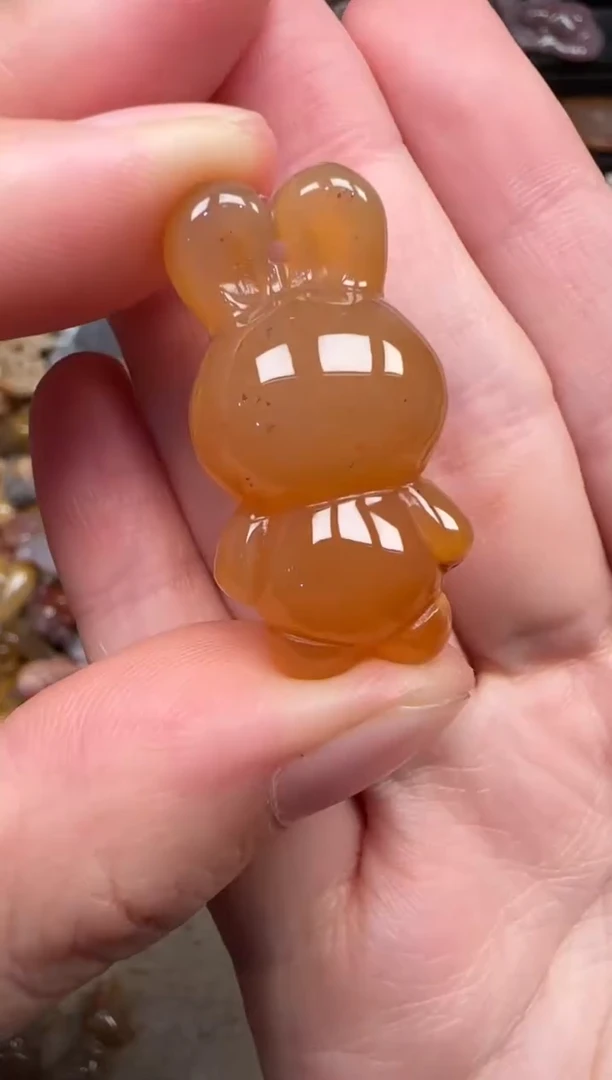 颈饰未镶嵌硅化珊瑚（珊瑚玉）146