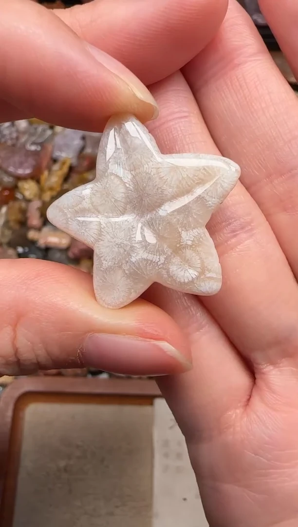 硅化珊瑚（珊瑚玉）未镶嵌颈饰820