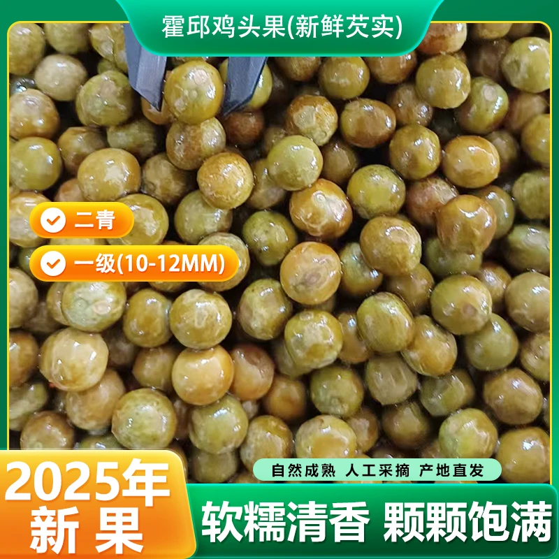 2025年新鲜出湖安徽霍邱正宗一级鸡头果新鲜芡实带壳打磨不苦不涩