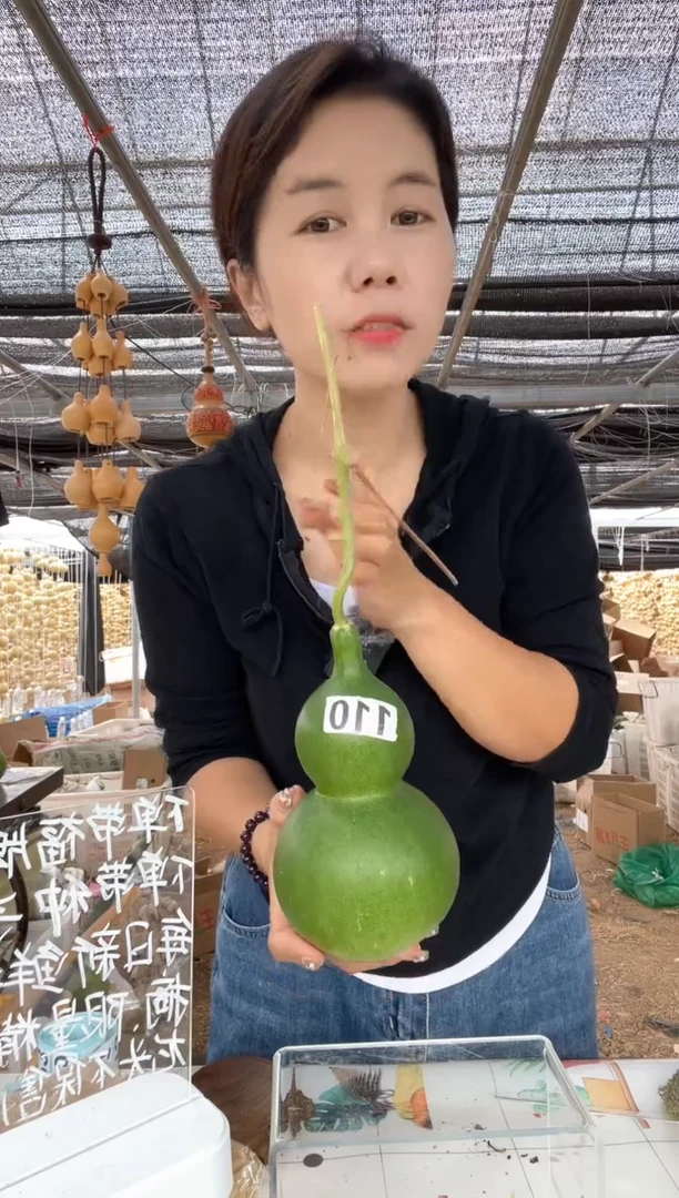 110天然葫芦摆件 一物一拍龙头不保售后