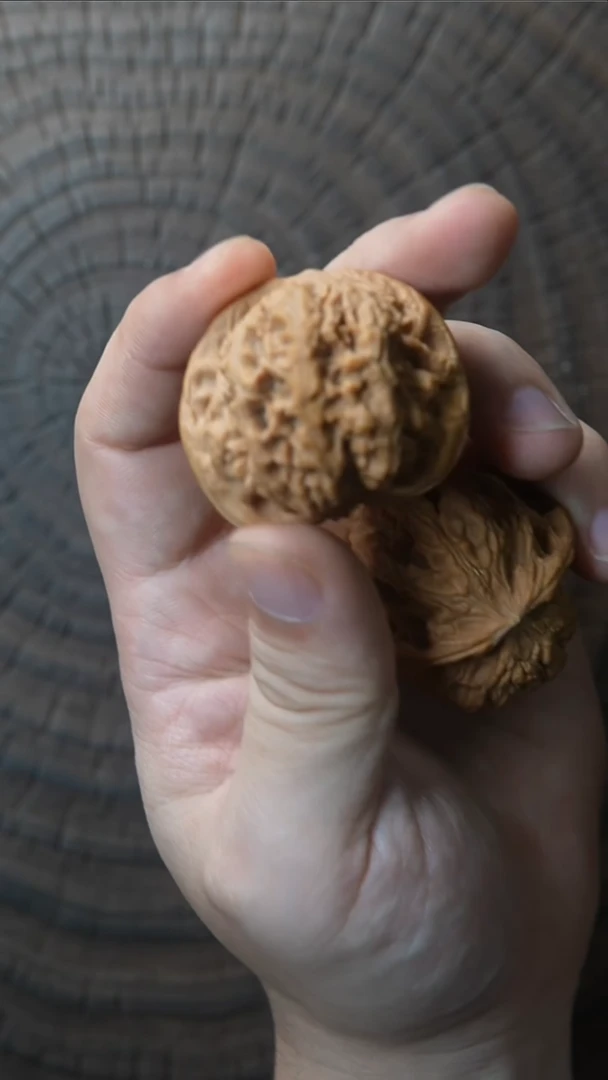 吊坠桃核75号龙洞域核桃40mm