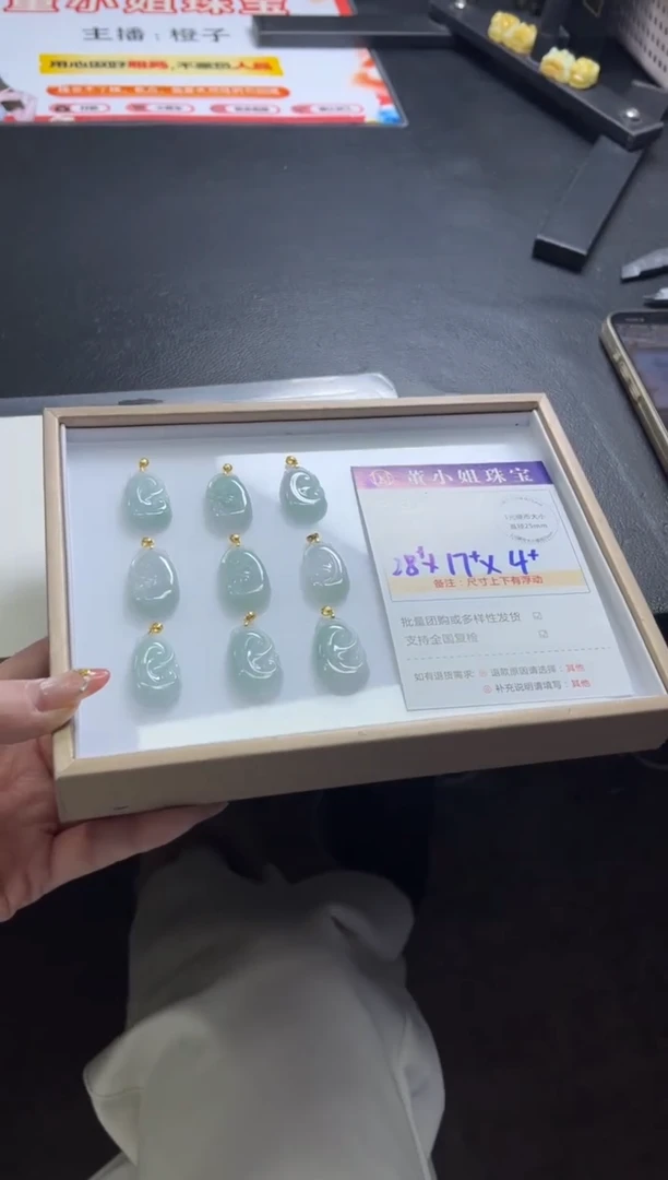 颈饰银S925镶嵌翡翠E14/多样性发一件/配绳子