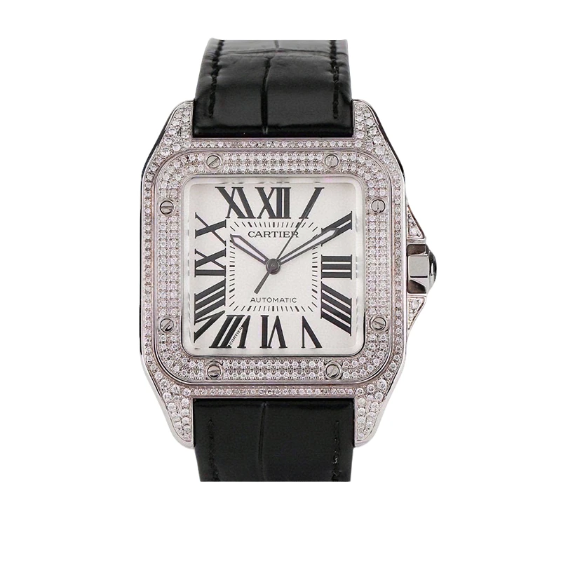 95新 Cartier/卡地亚 辰辰说表/山度士系列自动机械男表W20073X8