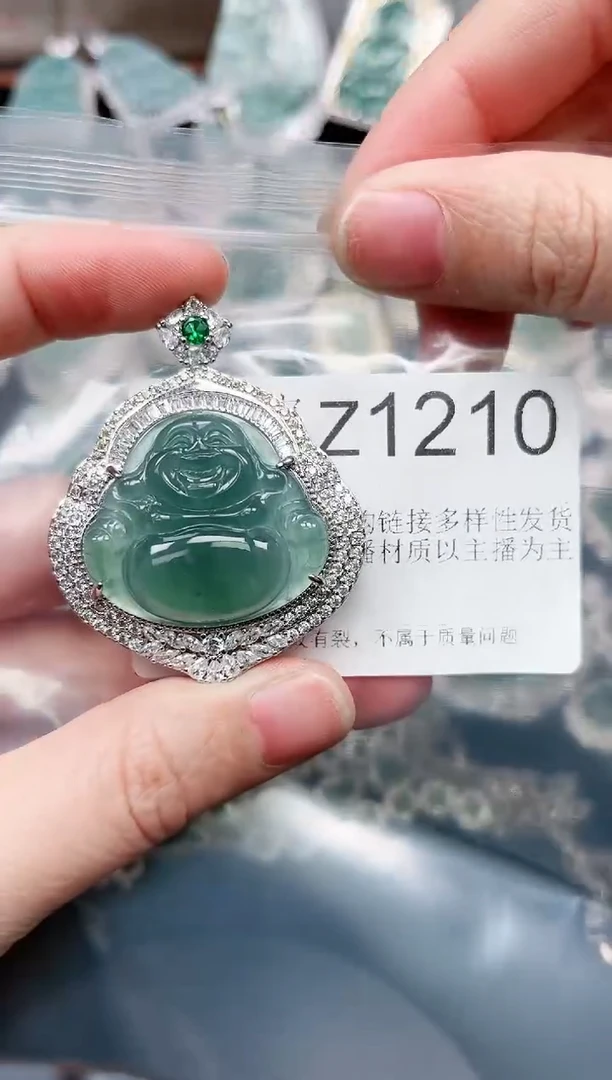 【闪购商品】翡翠颈饰未镶嵌赠皮绳1210