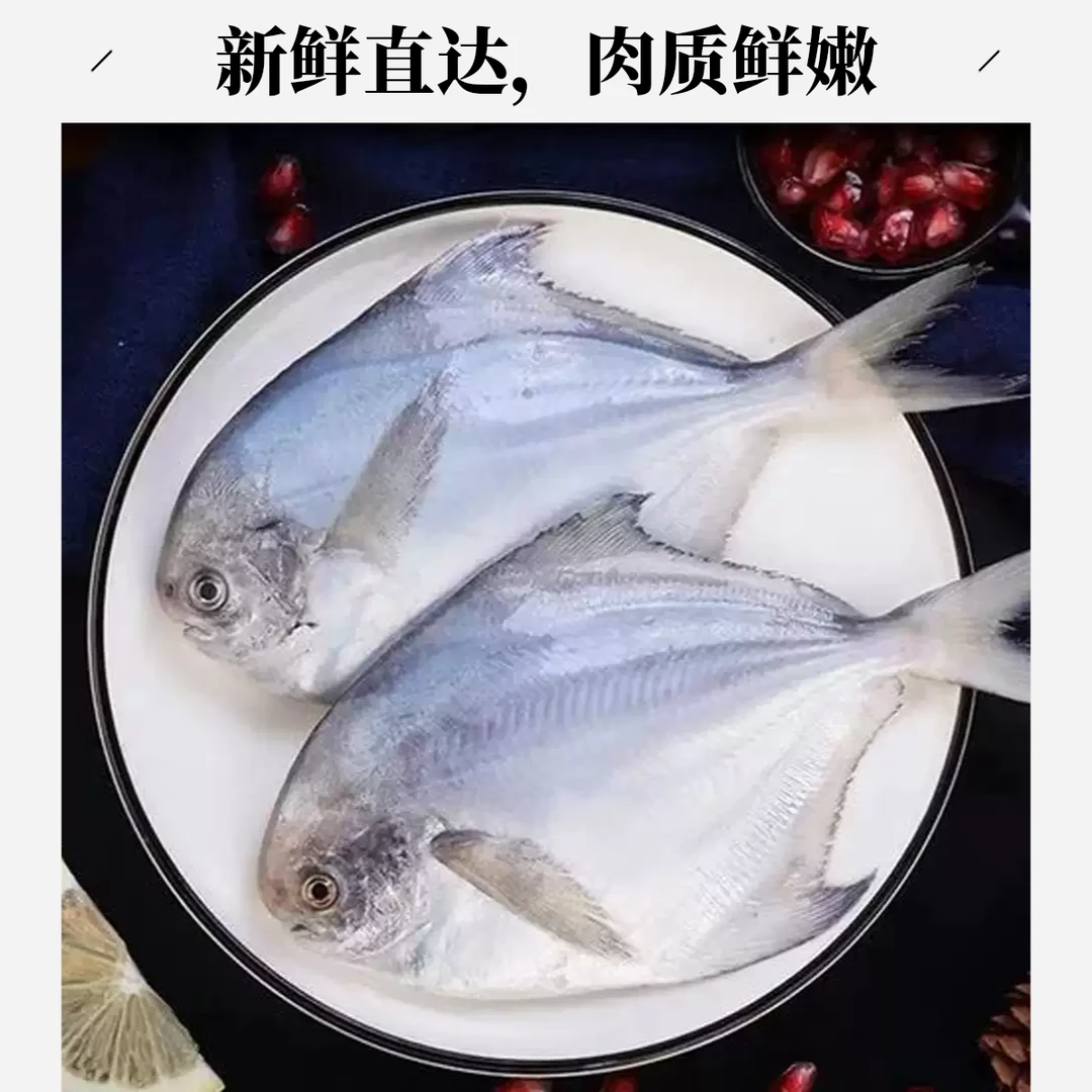 野生海捕白鲳鱼 3斤装 速冻真空包装