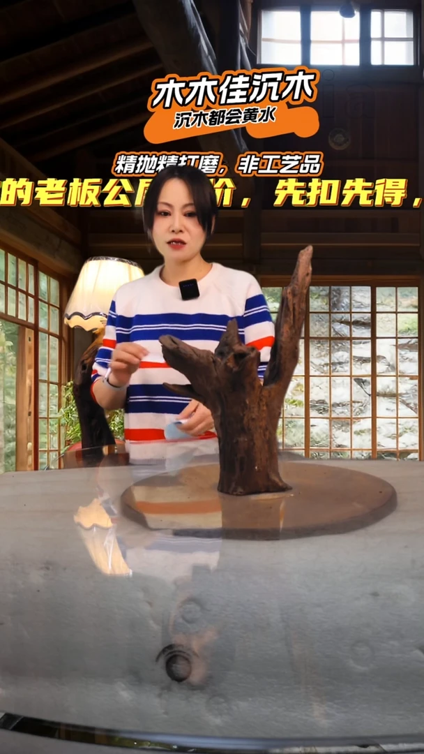 凉***喝木木佳沉木鱼缸造景