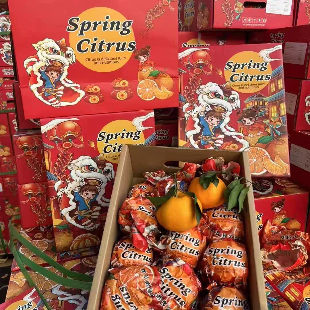 【金狐狸春见耙耙柑】正宗春见耙耙柑新鲜水果应季水果礼盒装包邮