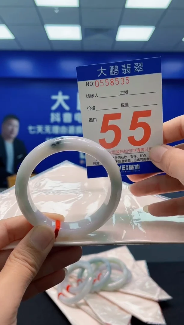 未镶嵌手镯翡翠AAAAAAAAA
