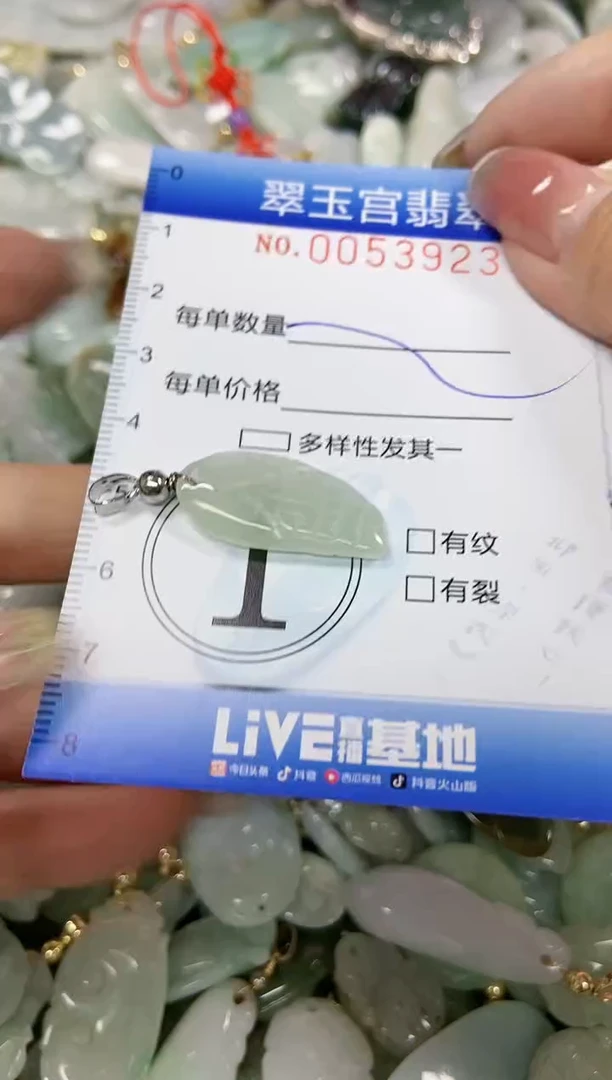 【闪购商品】翡翠颈饰未镶嵌闪购0053923