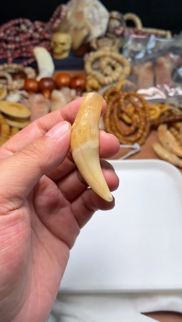 骆驼牙吊坠杂件565-骆驼牙吊坠-空