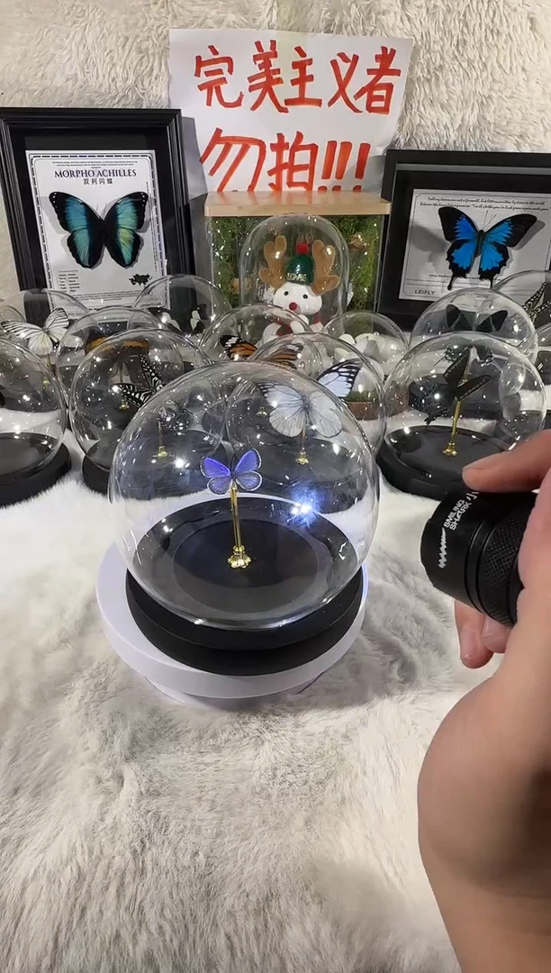 木小灰蝶水晶球