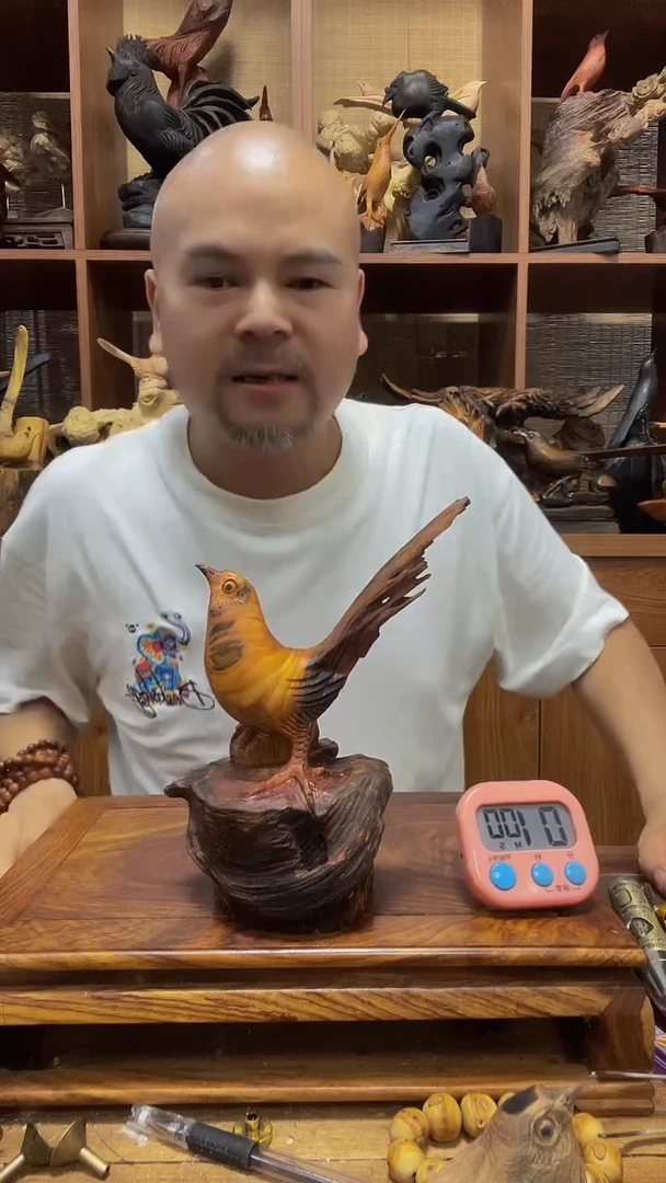 松木 定向 红鹰 定向 红鹰