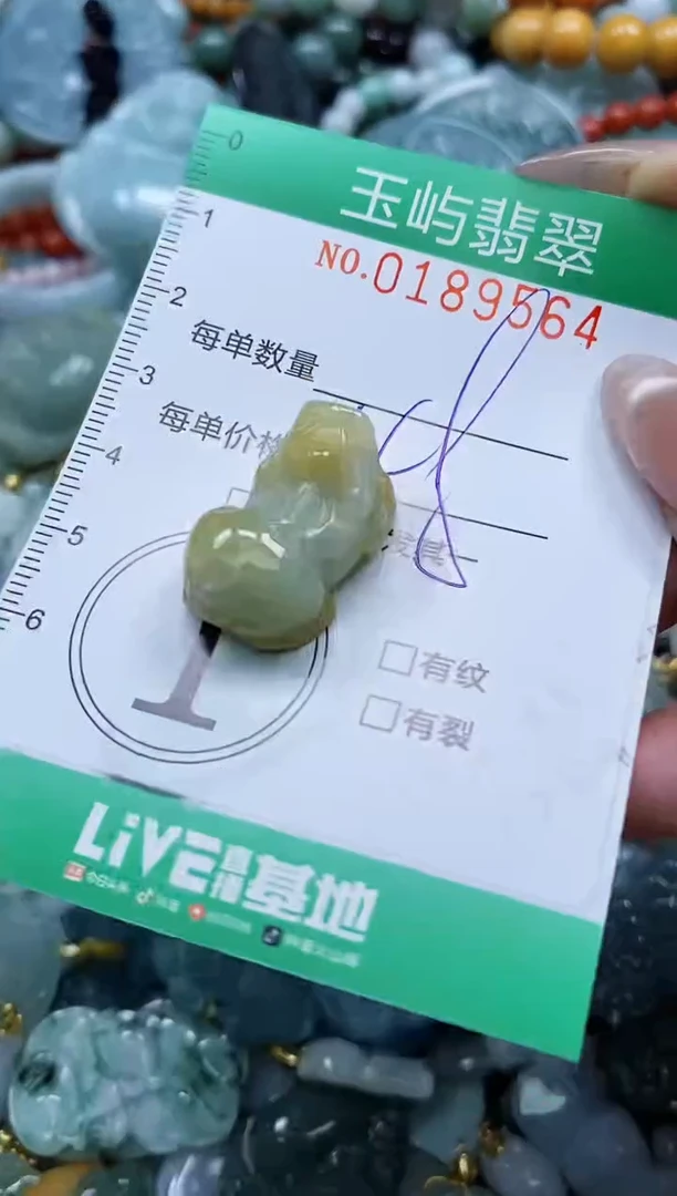 翡翠未镶嵌颈饰闪购0189564