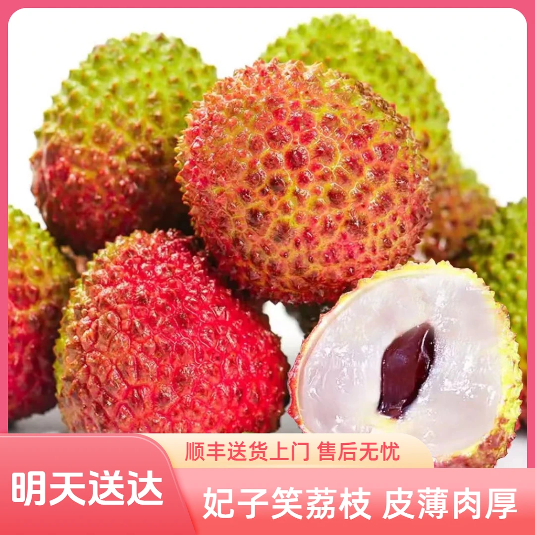 【明天送达】妃子笑荔枝5斤 现摘现发 新鲜不泡水不催熟 顺丰包邮送货上门