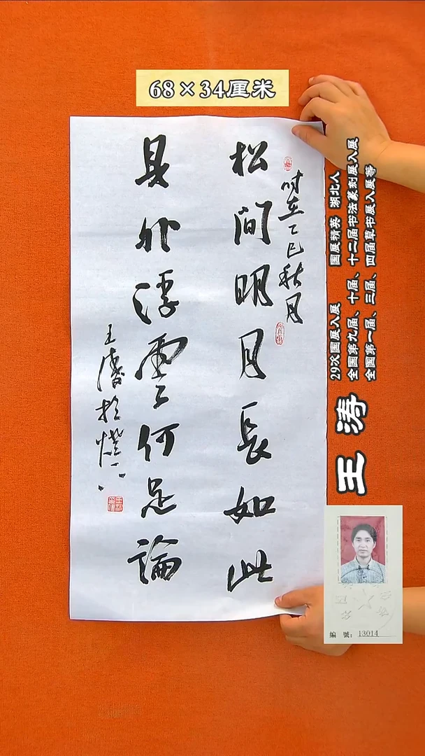 书法209R王涛书法作品