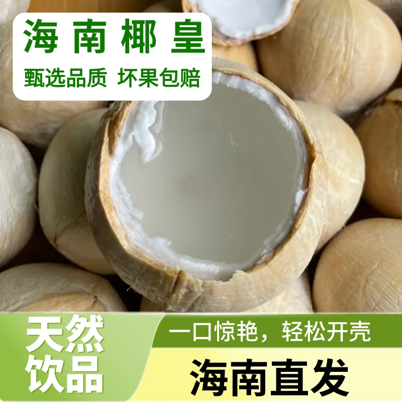 【京东顺丰包邮】海南新鲜奶椰皇椰子孕妈妈批发产地直发