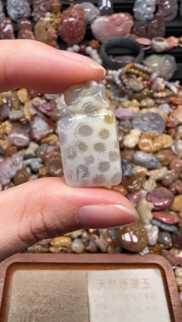 颈饰未镶嵌硅化珊瑚（珊瑚玉）657