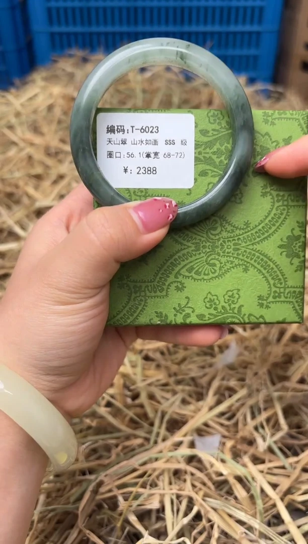 未镶嵌手镯石英质玉T-6023