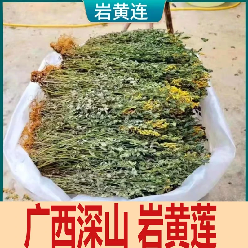 岩黄连100克250克500克泡水煮水 小店另售红枸杞