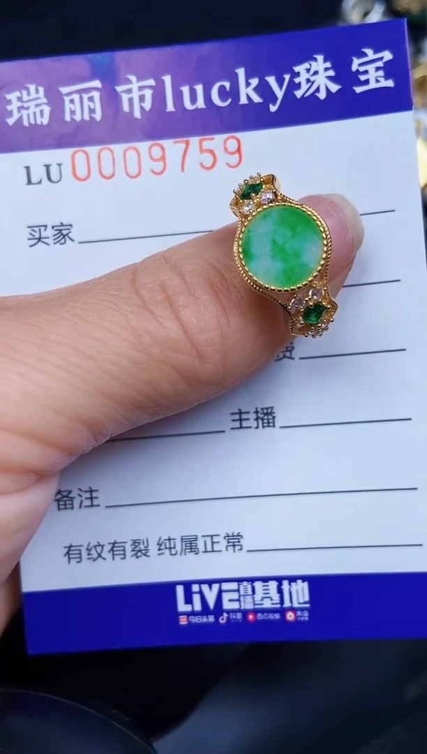 翡翠银S925镶嵌颈饰9759