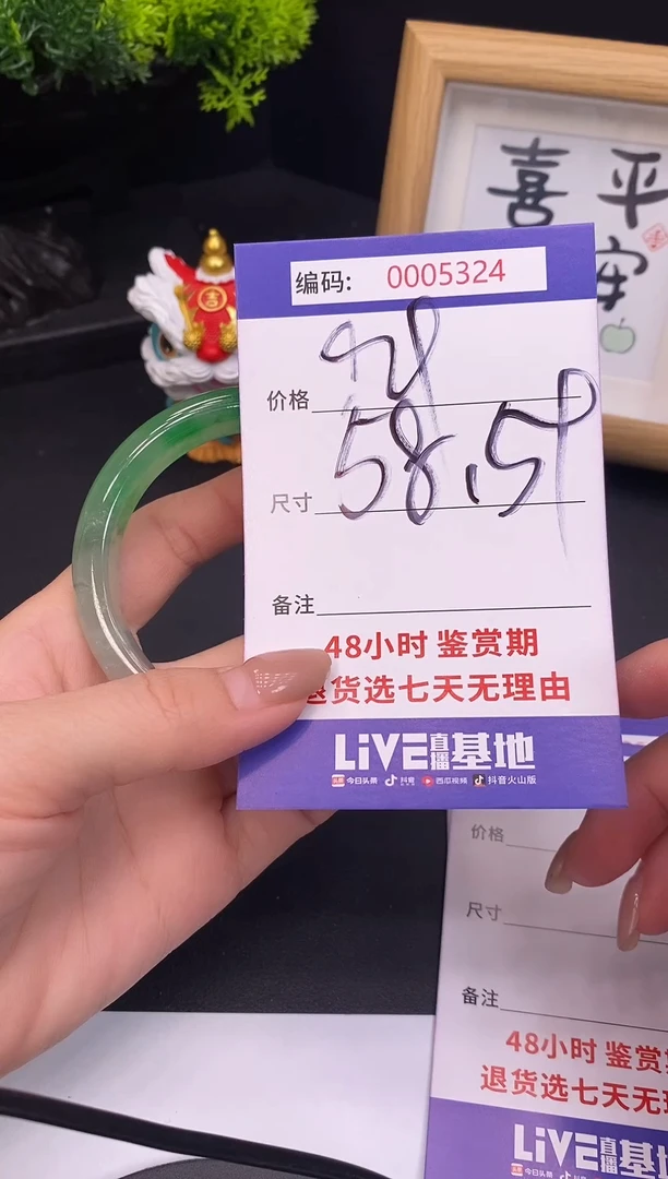 未镶嵌手镯翡翠0005324