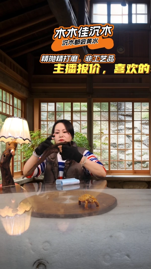 啊**m木木佳沉木鱼缸造景