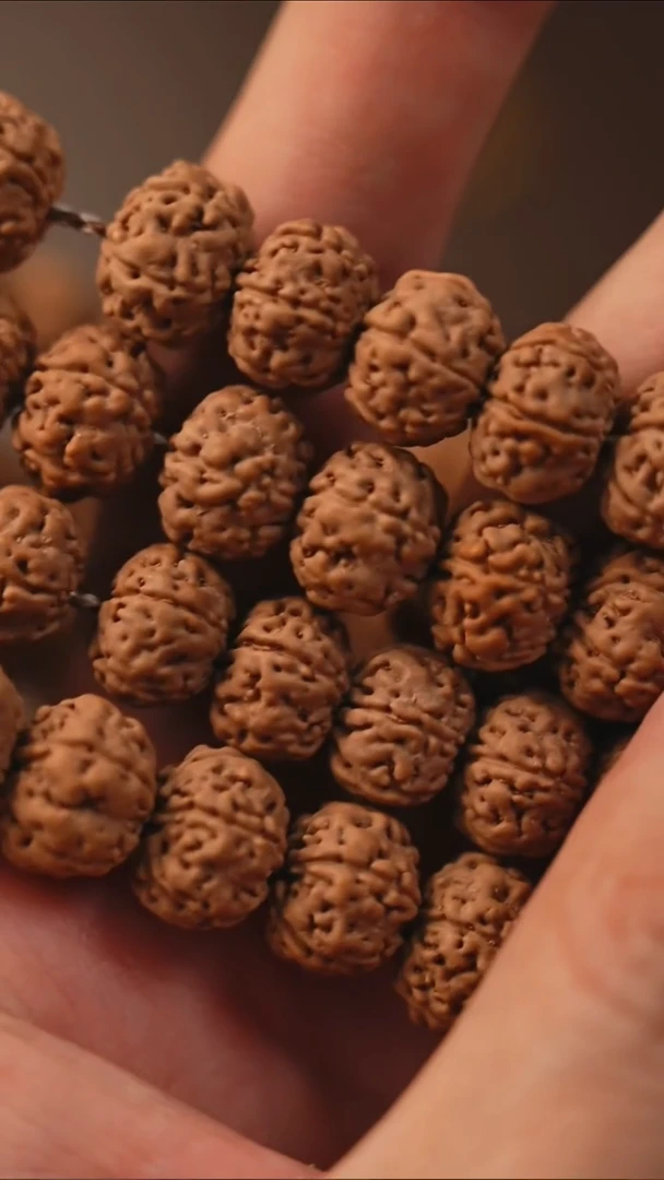 手串金刚菩提S09树王籽