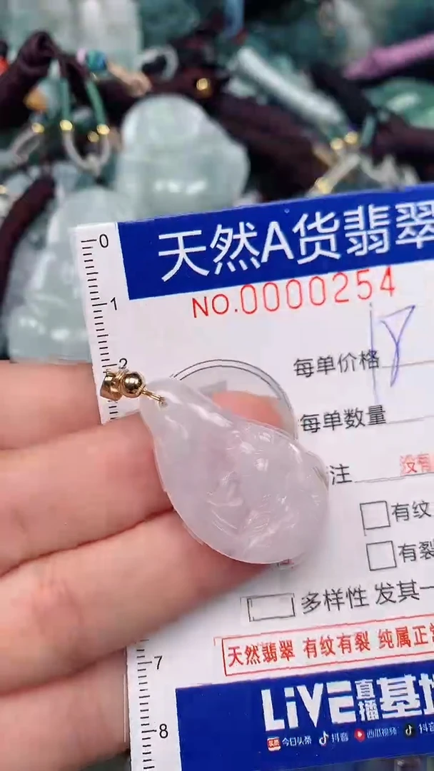 翡翠未镶嵌颈饰...0000254