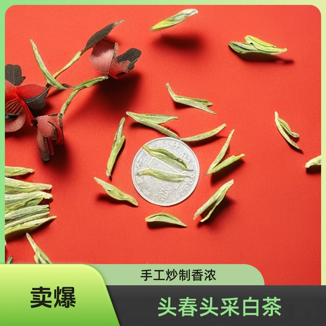 2025年头春头采手工炒制白茶奶香豆香手工茶送人送礼自己喝