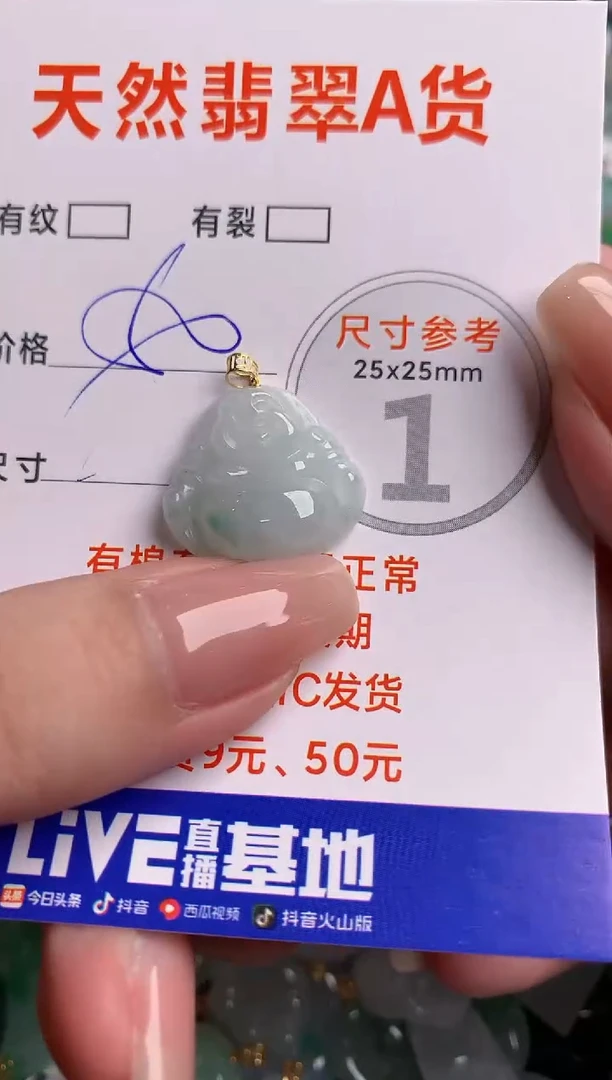 翡翠18K金镶嵌颈饰14006719