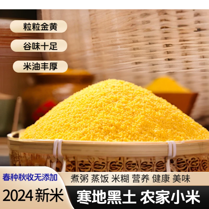 【东北黄小米】2024新米 东北黑土地金黄小米/煮粥/宝宝米/月子米