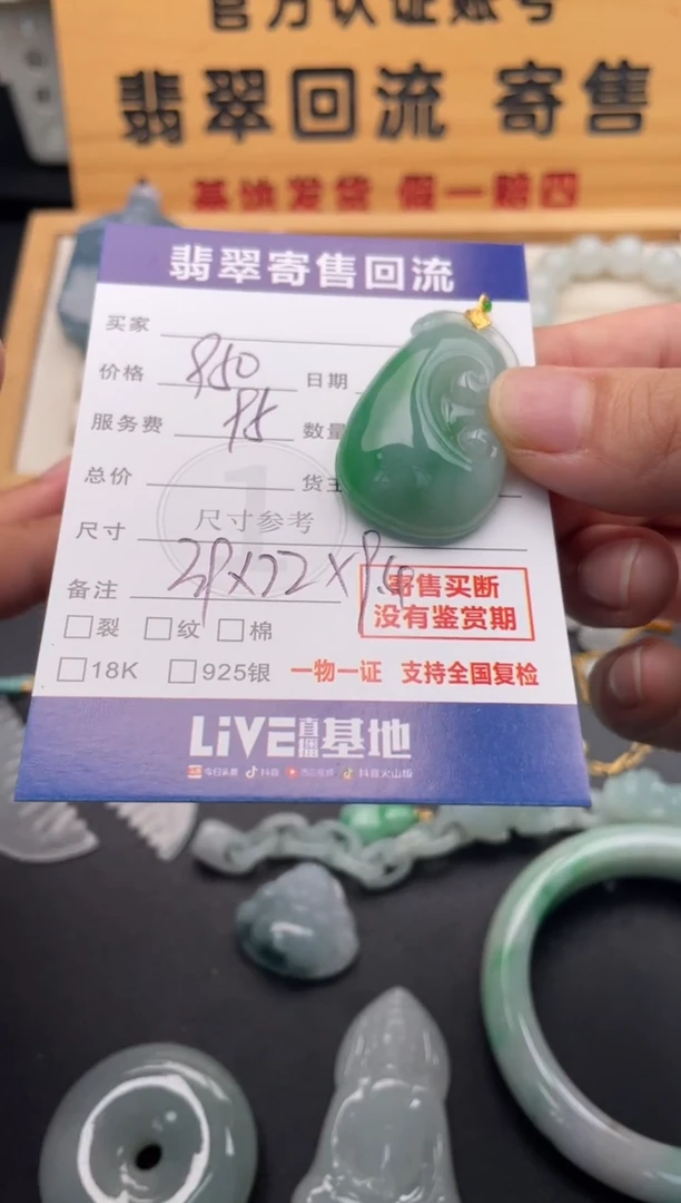 颈饰18K金镶嵌翡翠10146817