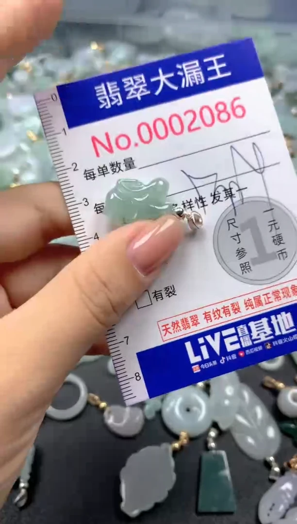 颈饰未镶嵌翡翠2086