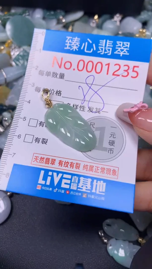 【闪购商品】翡翠颈饰未镶嵌含绳0001235