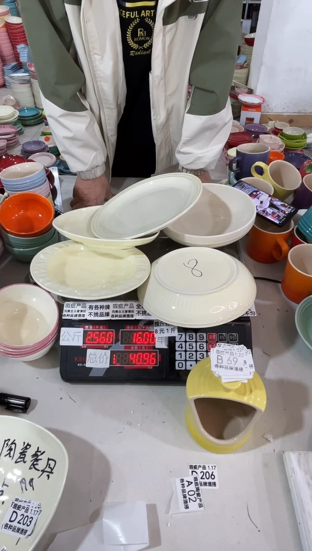 【闪购商品】其他瓷片微瑕陶瓷餐具家用B69