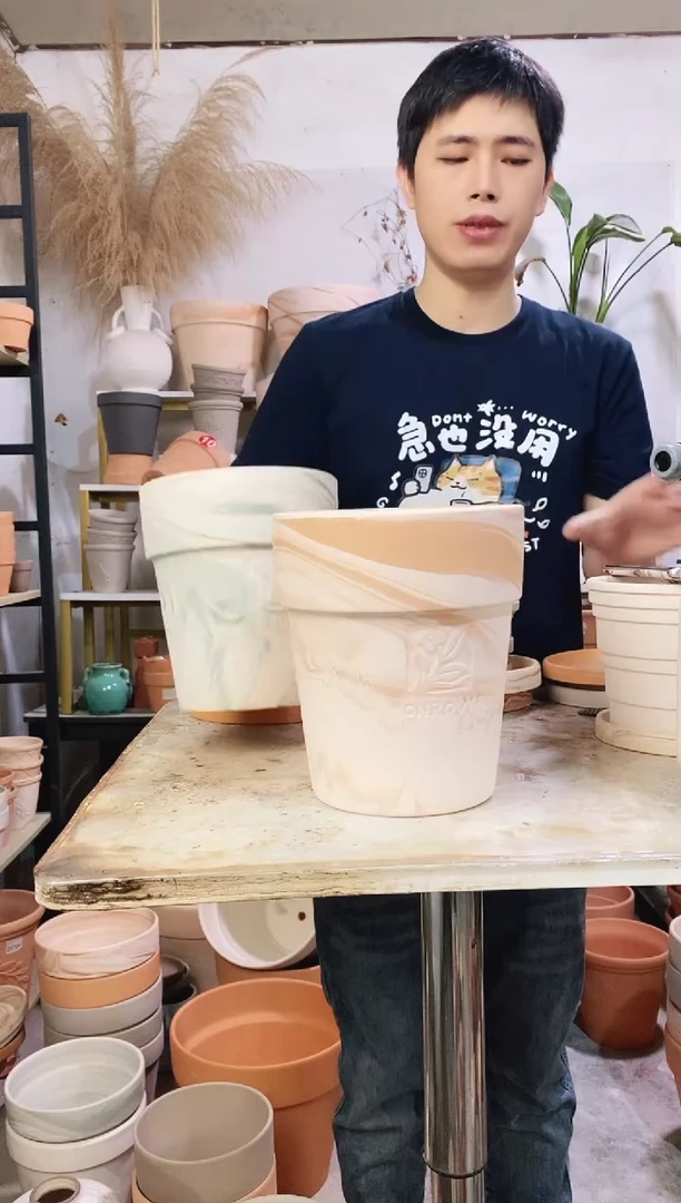 18*21玛奇朵反比例 1盆无托