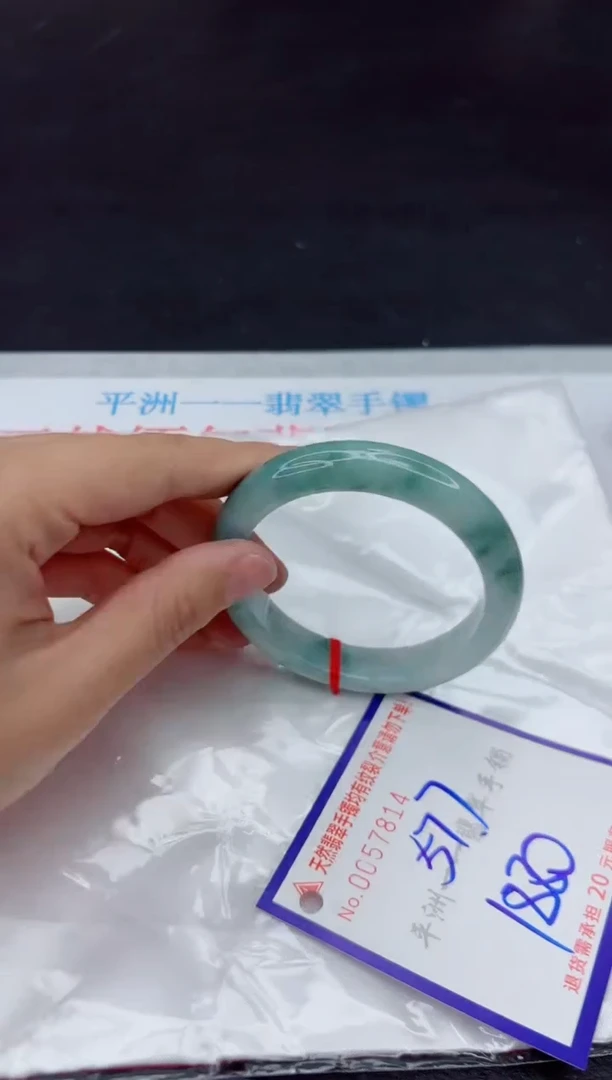 未镶嵌手镯翡翠111111