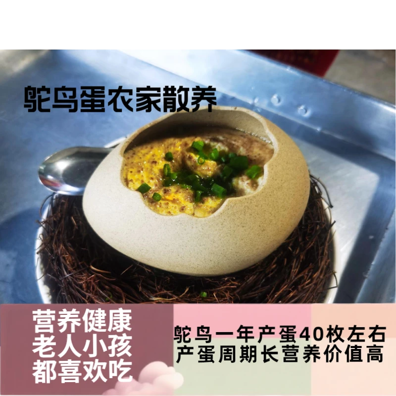 新鲜鸵鸟蛋营养丰富散养礼盒送礼佳选