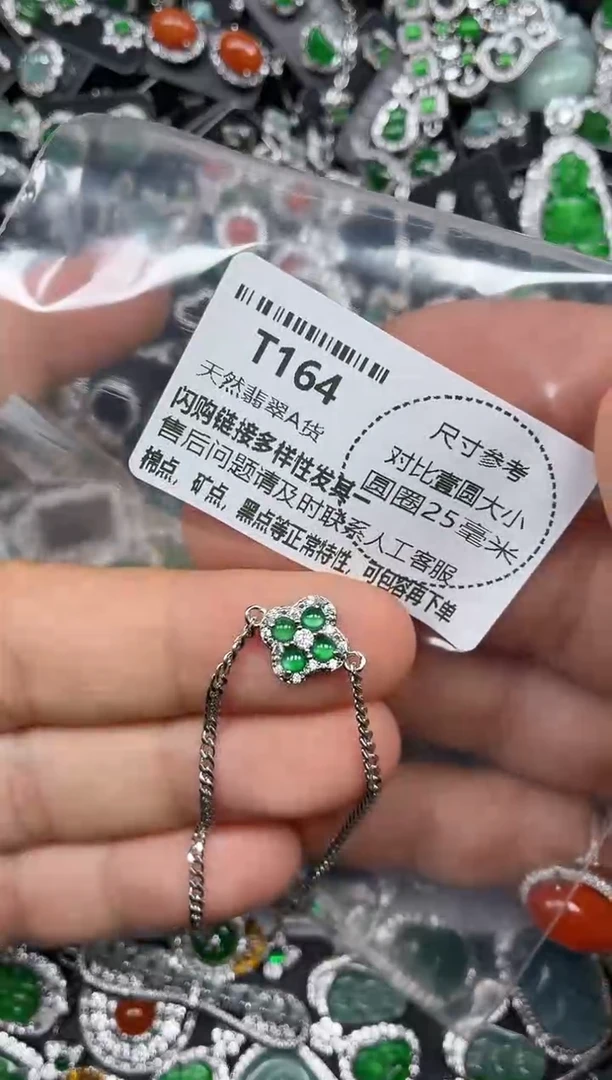 颈饰未镶嵌翡翠T164手链