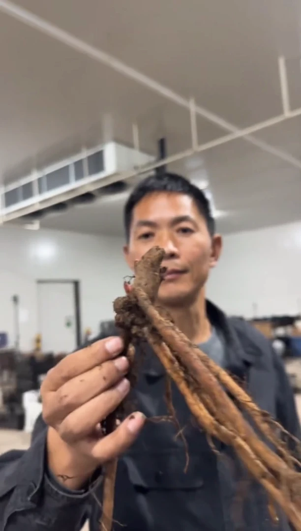 用****298  0942  丰美