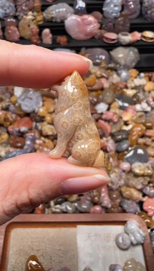 颈饰未镶嵌硅化珊瑚（珊瑚玉）873