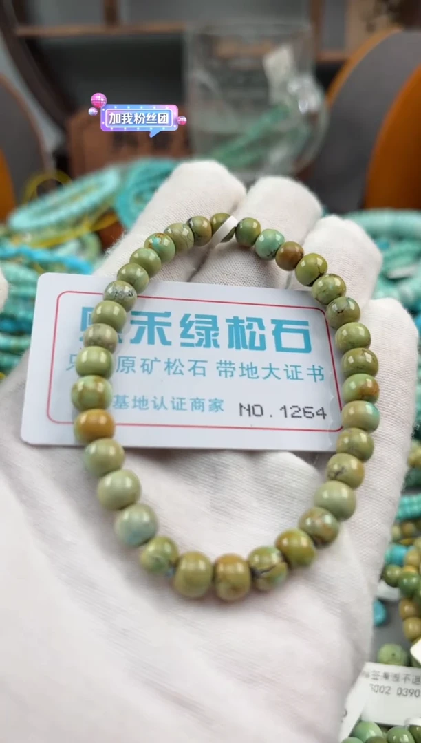绿松石未镶嵌松石1264