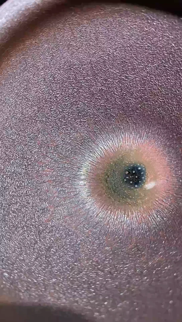 茶盏            106