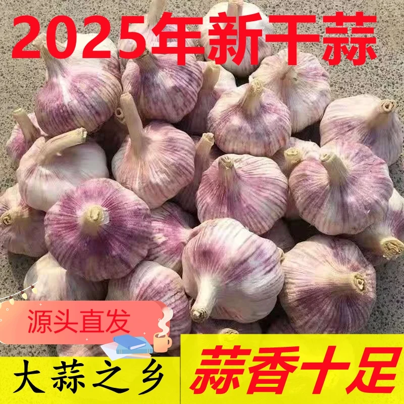 【农家新干蒜】2025年新鲜自然晾晒干农家干蒜大蒜紫皮大蒜去皮蒜
