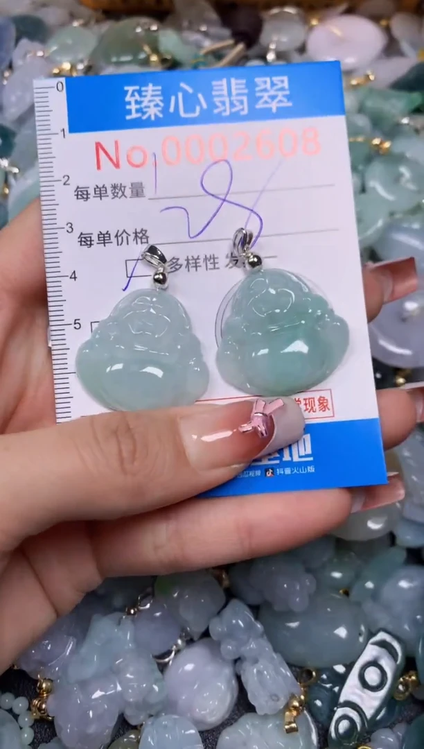 【闪购商品】翡翠颈饰未镶嵌多样性发其一02608